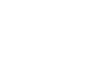 In a Fast-Paced World